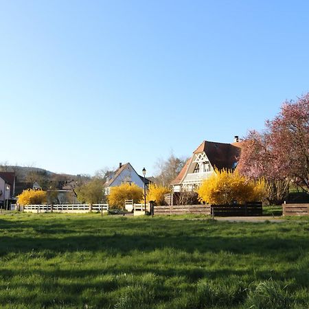 Oberhoffen-les-Wissembourg Romantik-Home Nordelsass - Ferienwohnung Fuer Selbstversorger מראה חיצוני תמונה