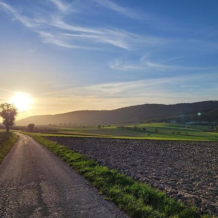Oberhoffen-les-Wissembourg Romantik-Home Nordelsass - Ferienwohnung Fuer Selbstversorger מראה חיצוני תמונה