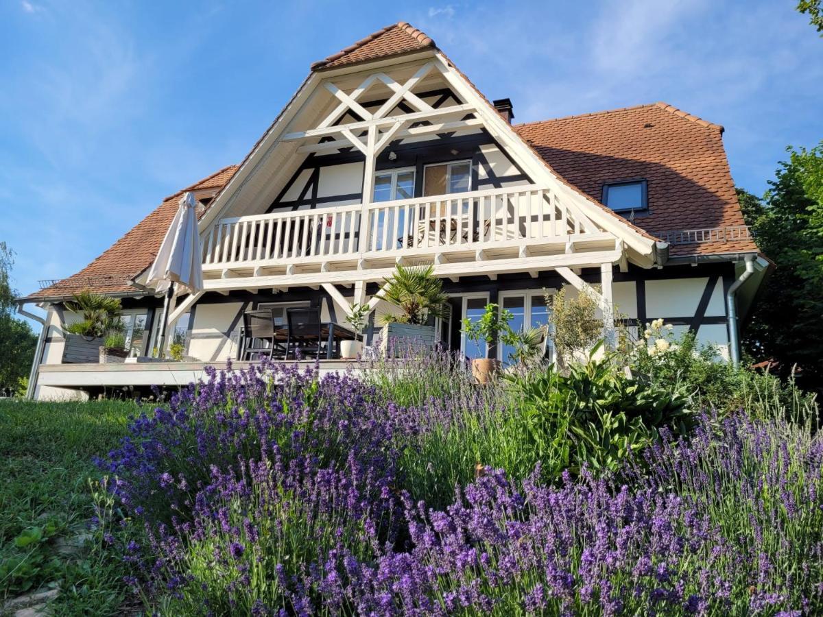 Oberhoffen-les-Wissembourg Romantik-Home Nordelsass - Ferienwohnung Fuer Selbstversorger מראה חיצוני תמונה