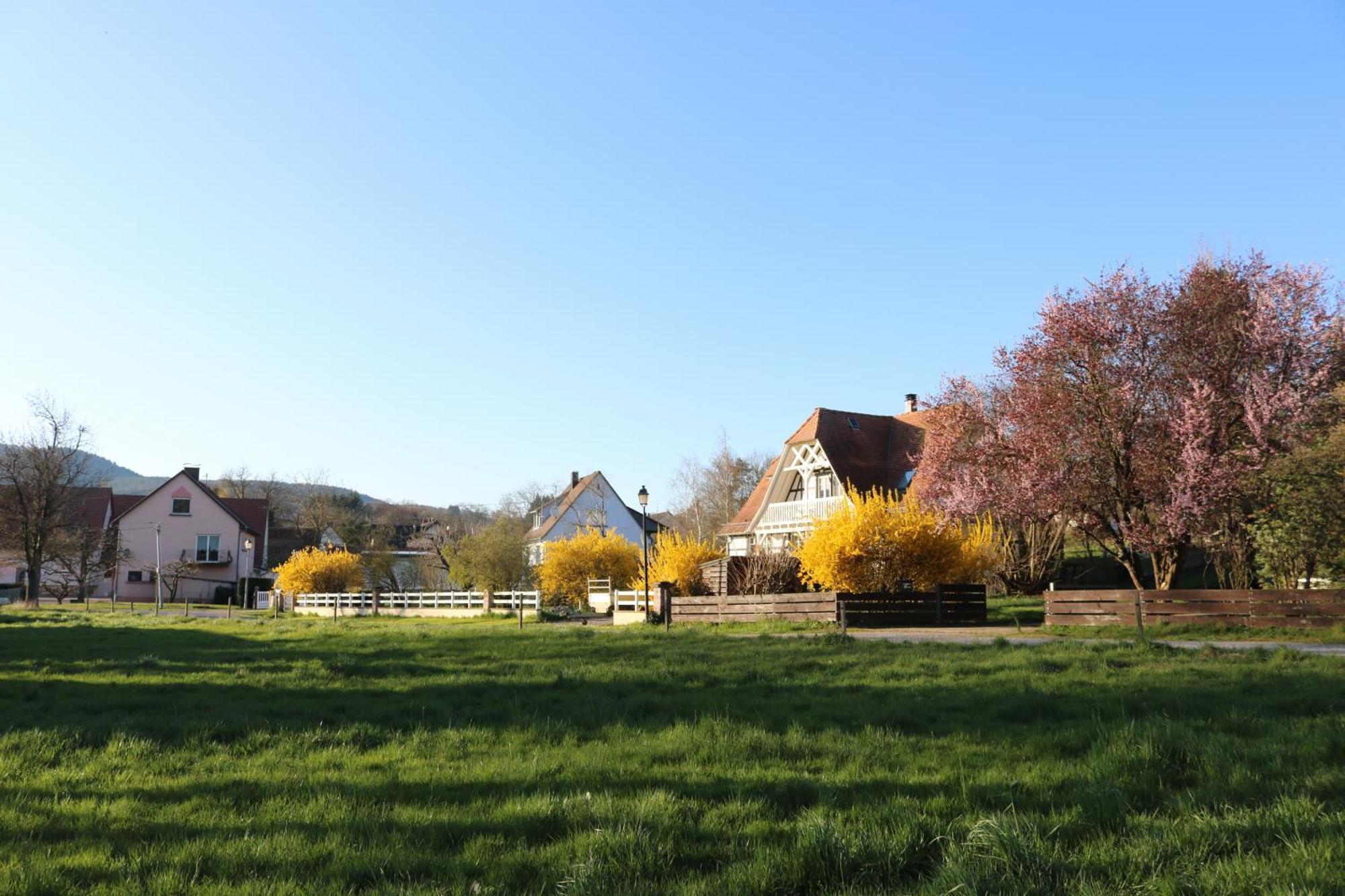 Oberhoffen-les-Wissembourg Romantik-Home Nordelsass - Ferienwohnung Fuer Selbstversorger מראה חיצוני תמונה